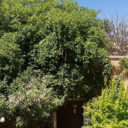 Casa Baseggio 3* Venedik